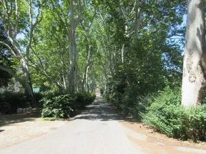 Prodej bytu 3+kk, Protivín, 65 m2