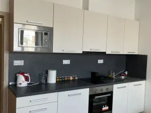 Pronájem bytu 1+kk, Brno, Vranovská, 29 m2