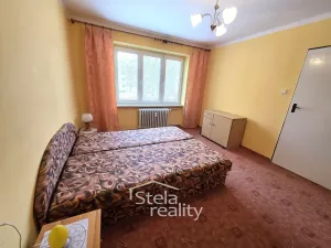 Prodej bytu 2+1, Opava, Na Rybníčku, 56 m2