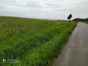 Prodej pozemku pro bydlení, Dolní Ředice, 12434 m2