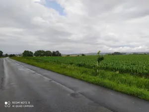 Prodej komerčního pozemku, Dolní Roveň, 13103 m2