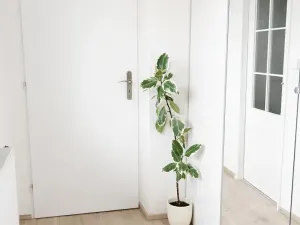 Pronájem rodinného domu, Hnojice, 150 m2