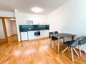 Pronájem bytu 1+kk, Praha - Žižkov, Malešická, 59 m2