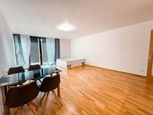 Pronájem bytu 1+kk, Praha - Žižkov, Malešická, 59 m2