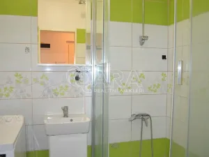 Prodej bytu 1+1, Milovice, Višňová, 42 m2