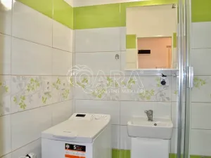 Prodej bytu 1+1, Milovice, Višňová, 42 m2