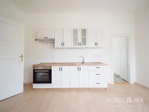 Pronájem bytu 1+1, Tábor, Ojířova, 60 m2