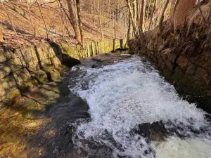 Prodej pozemku, Bedřichov, 1488 m2