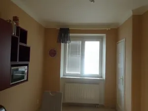 Pronájem bytu 1+1, Brno, Slatinská, 48 m2