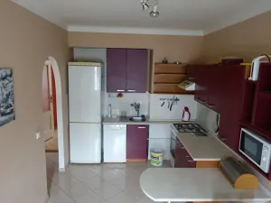 Pronájem bytu 1+1, Brno, Slatinská, 48 m2