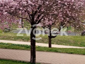 Prodej bytu 1+kk, Zlín, Podlesí V, 30 m2