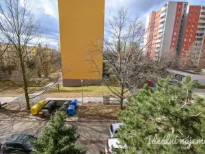 Pronájem bytu 3+1, Brno - Židenice, Čejkovická, 65 m2