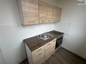 Pronájem bytu 1+1, Most, U Stadionu, 26 m2