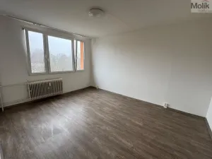 Pronájem bytu 1+1, Most, U Stadionu, 26 m2