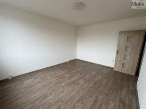 Pronájem bytu 1+1, Most, U Stadionu, 26 m2