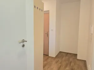 Pronájem bytu 2+kk, Praha, Hnězdenská, 54 m2