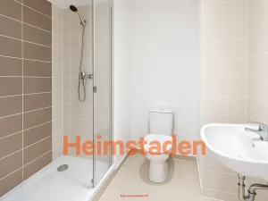 Pronájem bytu 1+1, Frýdek-Místek - Frýdek, El. Krásnohorské, 35 m2