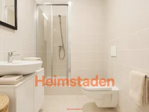 Pronájem bytu 2+1, Plzeň - Jižní Předměstí, Magisterská, 46 m2