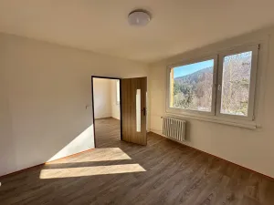 Pronájem bytu 1+1, Děčín, Na Pěšině, 36 m2