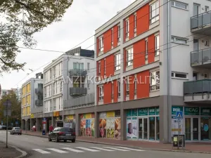 Pronájem bytu 1+kk, České Budějovice - České Budějovice 3, Pekárenská, 35 m2