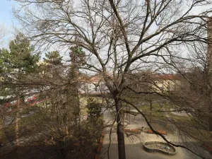 Pronájem bytu 1+kk, České Budějovice - České Budějovice 3, Plzeňská, 20 m2