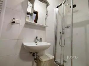 Pronájem bytu 1+kk, Písek, Pražská, 37 m2