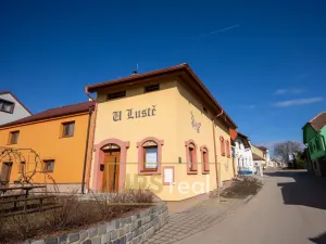 Prodej - jiné, Prušánky, Nechory, 145 m2