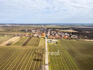 Prodej - jiné, Prušánky, Nechory, 145 m2