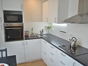 Pronájem bytu 2+1, Brno, Nejedlého, 50 m2