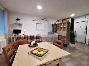 Pronájem bytu 1+kk, Litoměřice - Předměstí, Revoluční, 35 m2