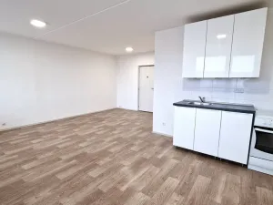 Pronájem bytu 1+kk, Litoměřice - Předměstí, Revoluční, 35 m2