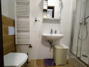 Pronájem bytu 1+kk, Písek, Pražská, 37 m2