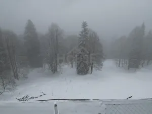 Prodej chalupy, Malá Úpa - Dolní Malá Úpa, 110 m2