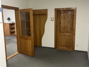 Pronájem skladu, Ostrava, Halasova, 785 m2