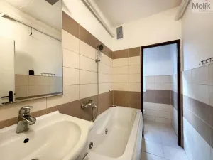 Pronájem bytu 1+1, Ústí nad Labem - Střekov, Tolstého, 33 m2