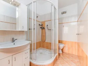 Pronájem bytu 2+kk, České Budějovice - České Budějovice 3, Kubatova, 55 m2