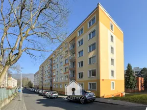Prodej bytu 1+1, Ústí nad Labem, Mlýnská, 35 m2