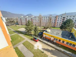 Prodej bytu 1+1, Ústí nad Labem, Mlýnská, 35 m2