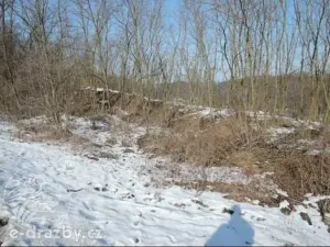 Dražba pozemku, Niměřice, 1982 m2