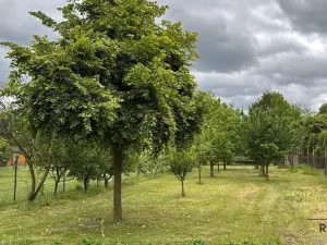 Prodej rodinného domu, Znojmo, 140 m2