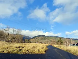 Prodej komerčního pozemku, Hroznětín, Nádražní, 7451 m2