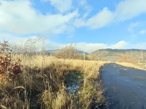 Prodej komerčního pozemku, Hroznětín, Nádražní, 7451 m2