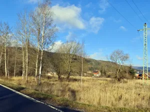 Prodej komerčního pozemku, Hroznětín, Nádražní, 7451 m2