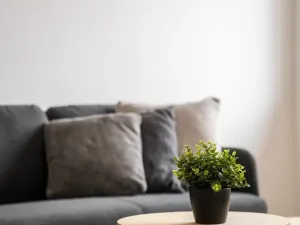 Prodej bytu 1+kk, Žacléř, Rýchorské náměstí, 23 m2