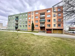 Prodej bytu 1+1, Bor, Borská, 40 m2
