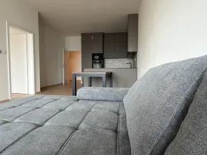 Pronájem bytu 2+kk, České Budějovice - České Budějovice 3, K. Šatala, 68 m2