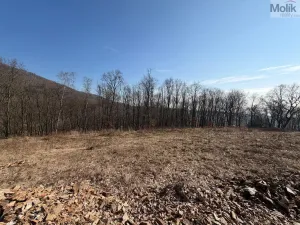 Prodej pozemku pro bydlení, Lom, Alšova, 2648 m2