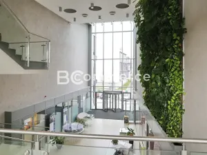 Pronájem kanceláře, Brno, 600 m2