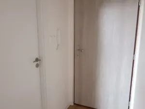 Pronájem bytu 1+kk, Ostrava, Palackého, 22 m2