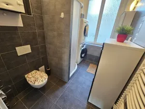 Pronájem bytu 4+1, Praha - Bubeneč, Rooseveltova, 95 m2